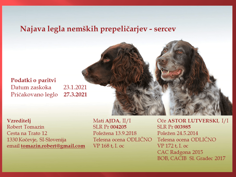 Konec meseca marca 2021 bo na voljo leglo nemških prepeličarjev – sercev