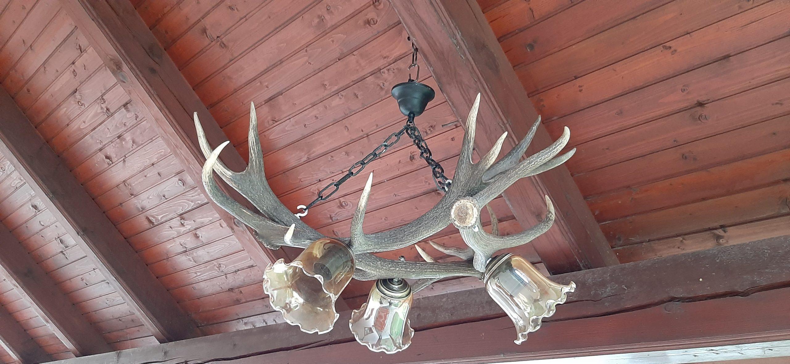 Lestenca iz jelenovega rogovja