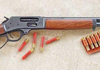 G0620-HENRY-1-2-copy