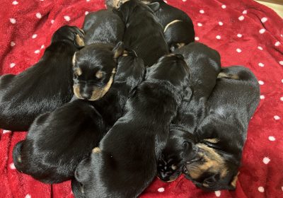 1B85C007-BAAD-45E4-AC79-17BF7EB5FF67