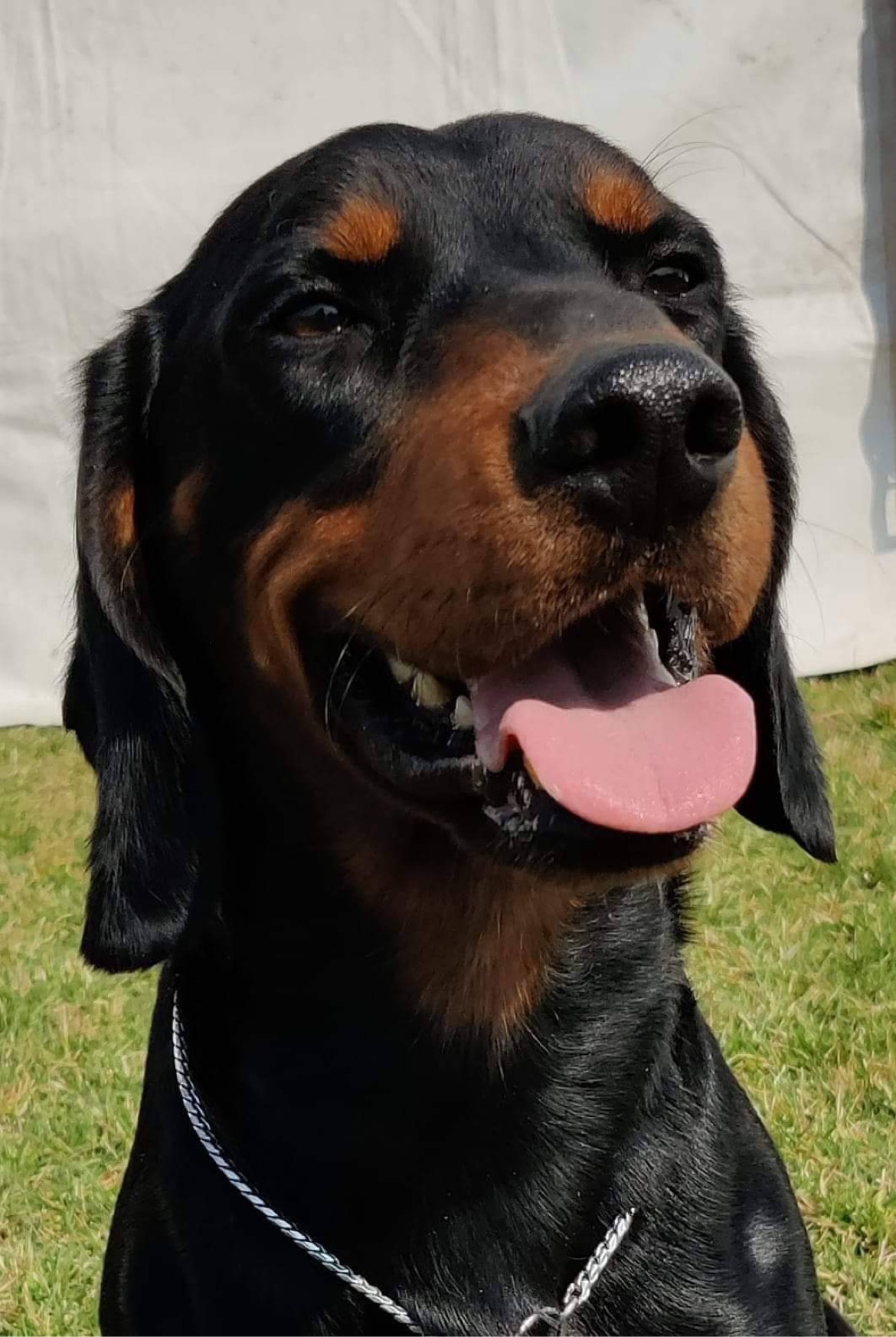 Mladiči SLOVAŠKI KOPOV