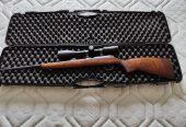 cz 17 hmr