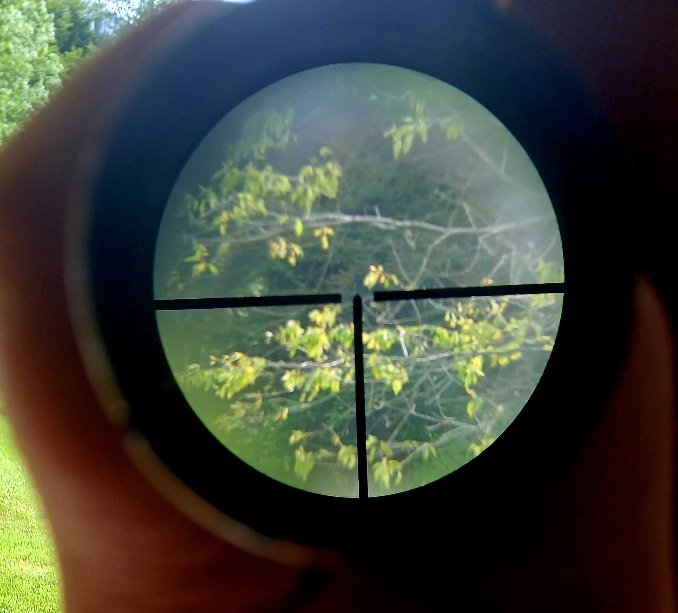 Hensoldt wetzlar 4×32