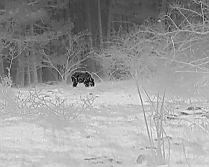 Hikmicro Thunder Pro TH35PC