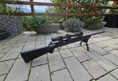 Remington 308 WIN