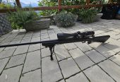Remington 308 WIN