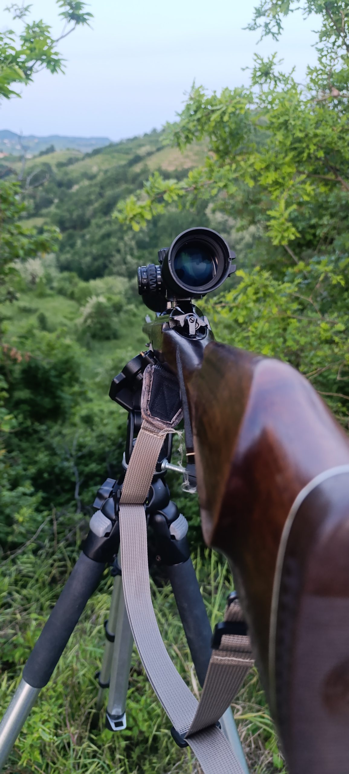 Steyr Mannlicher Schönauer stutzen M72 308 WIN