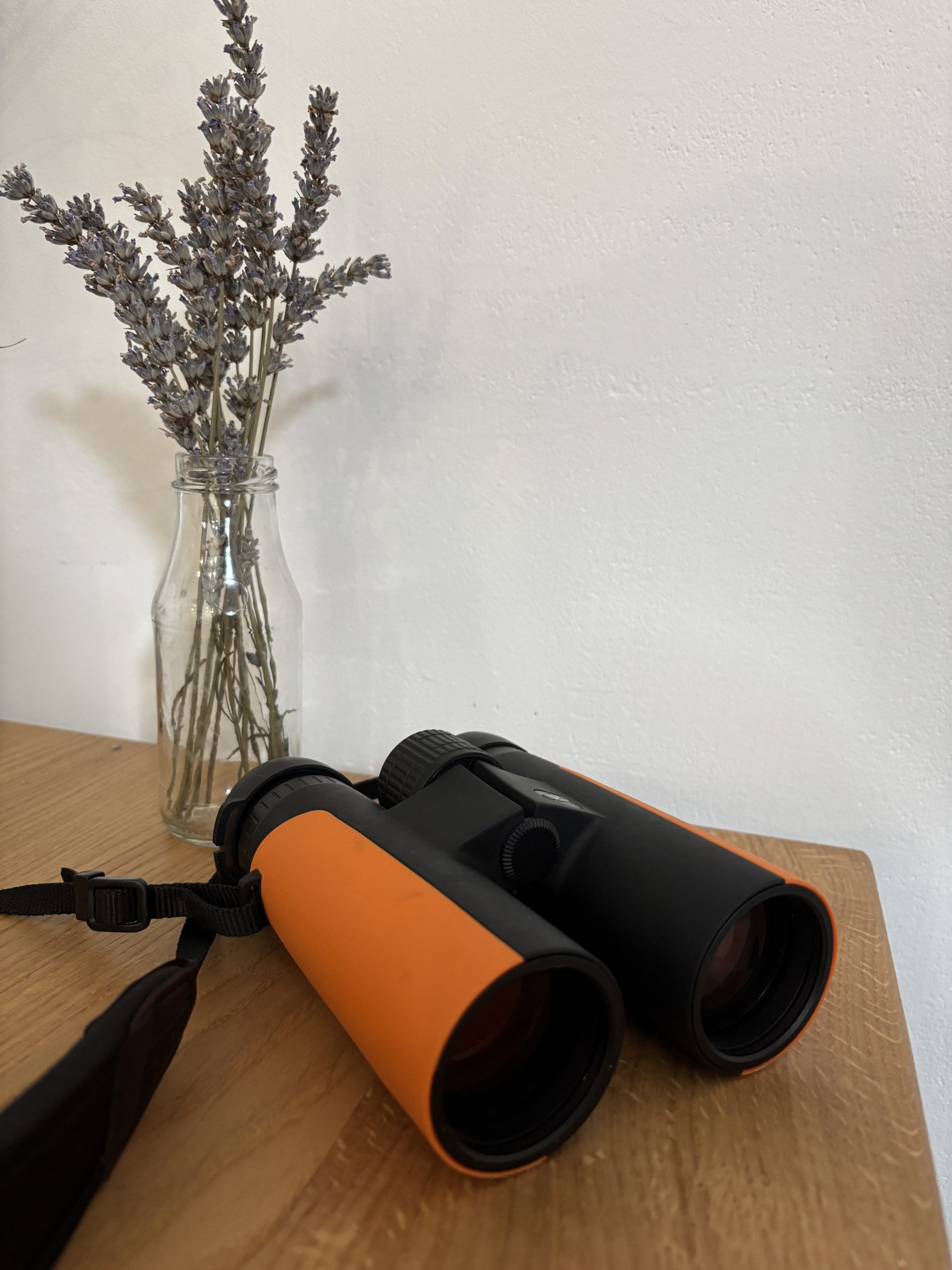 Gpo passion ED 8×42