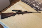 Rabljene puške