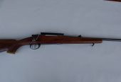 CZ 308 WIN