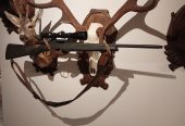 Steyr SM12 308Win.