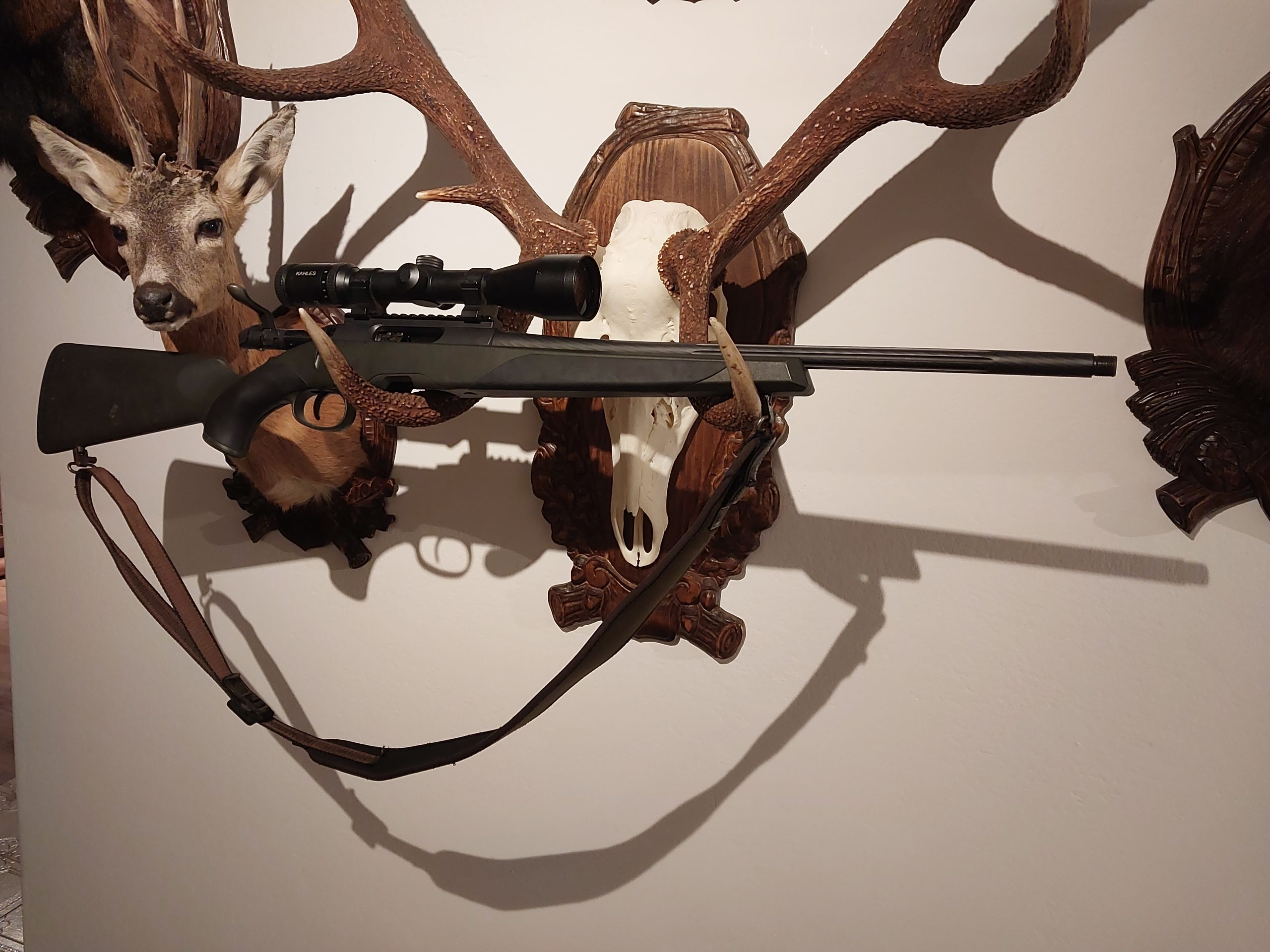 Steyr SM12 308Win.