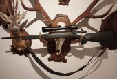 Steyr SM12 308Win.