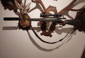 Steyr SM12 308Win.