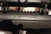 Steyr SM12 308Win.