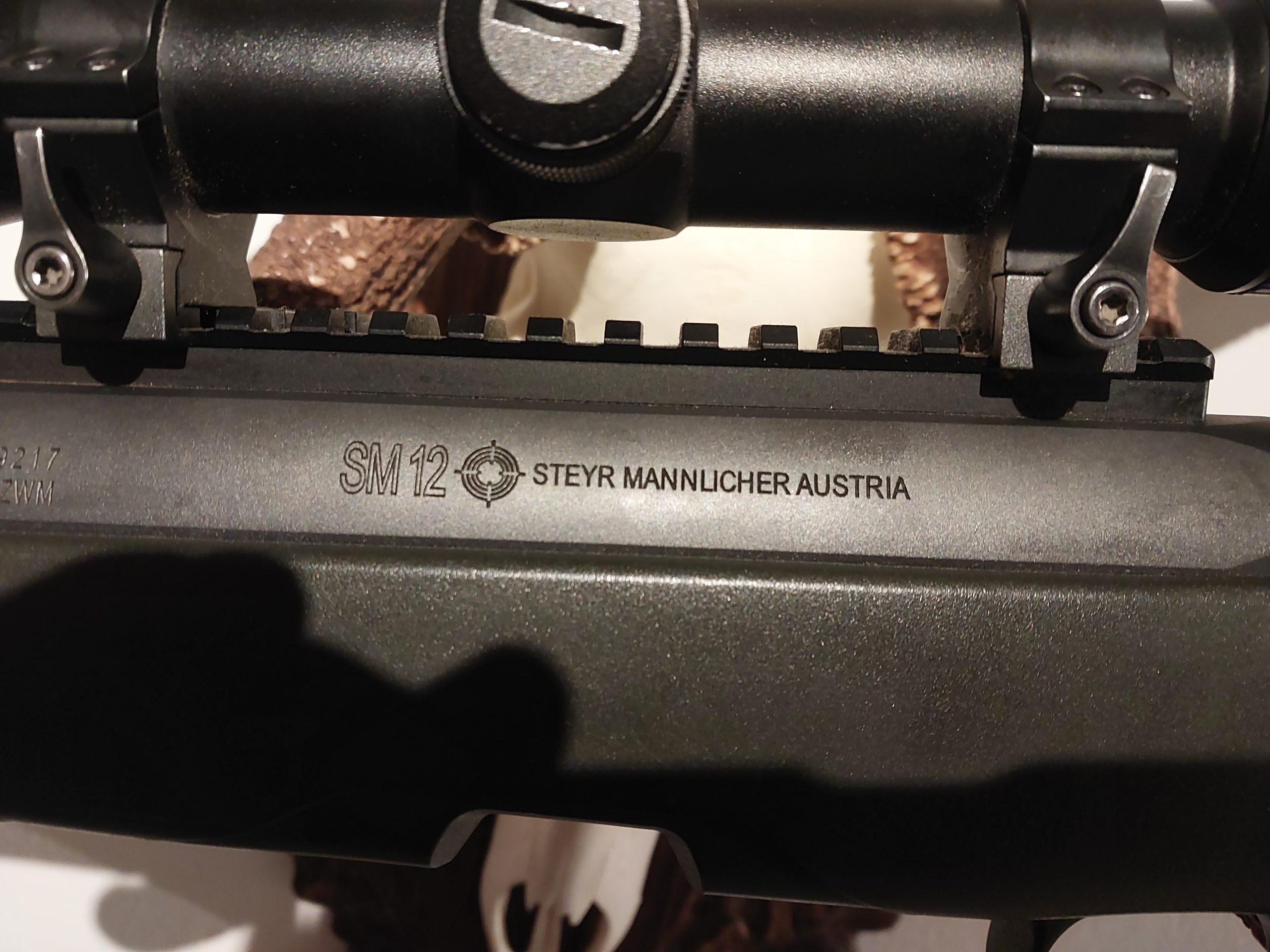 Steyr SM12 308Win.
