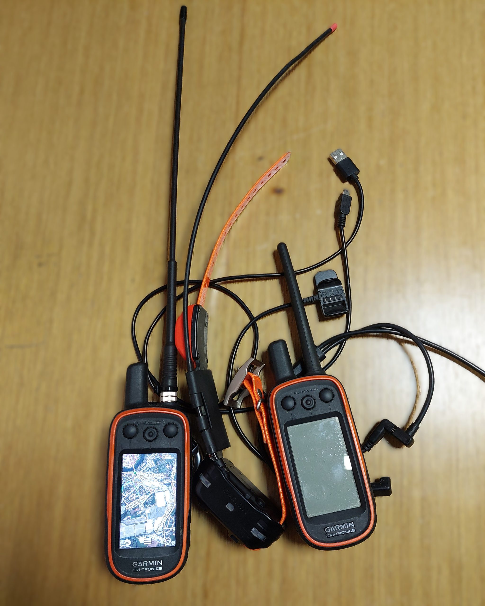 Garmin Alpha 100, T5 Mini