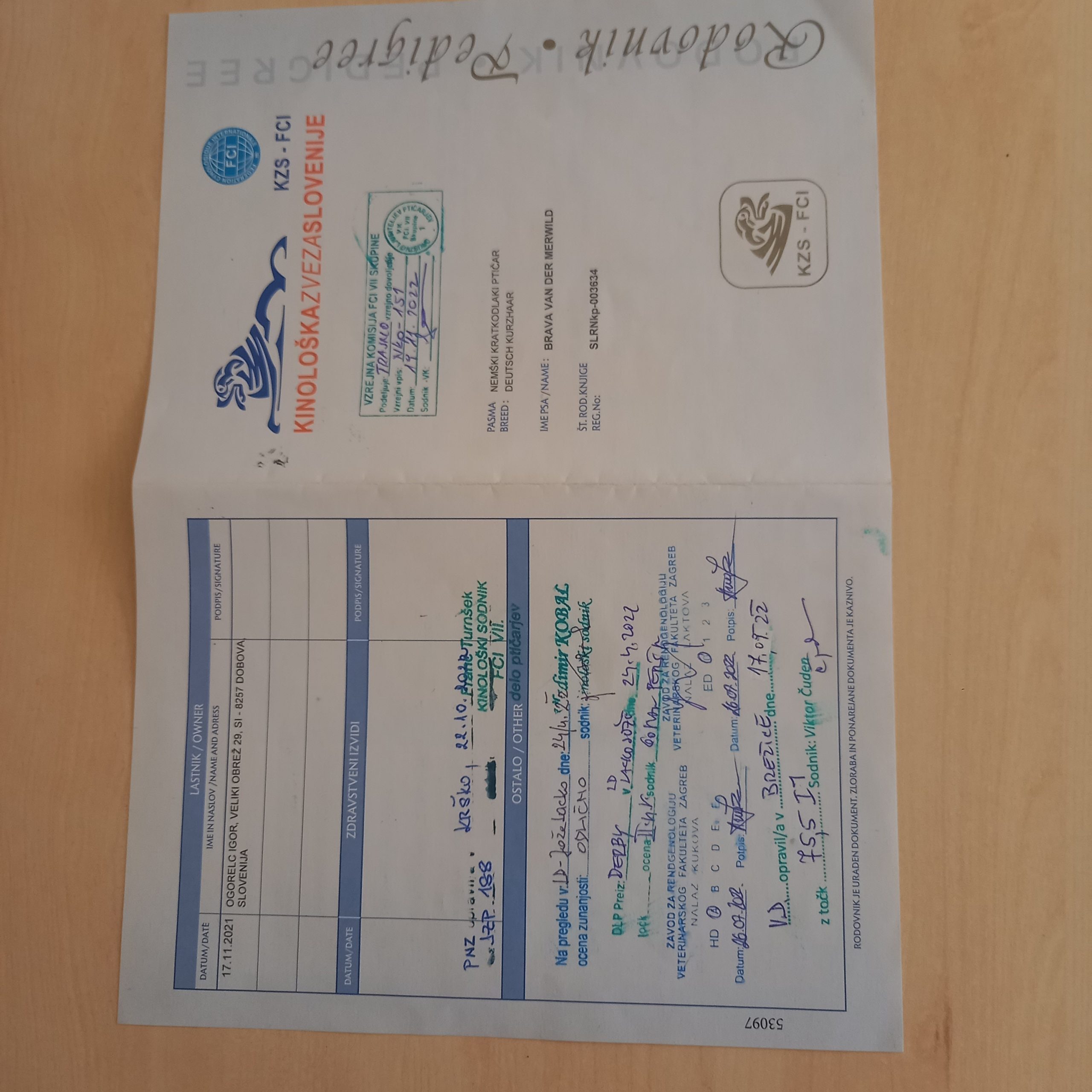 Nemški kratkodlaki ptičar