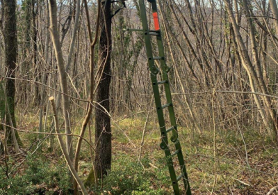 Posnetek-zaslona-2026-04-15-091606