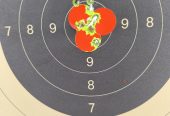 Sauer 101GTI Silence