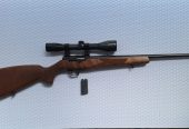 Polavtomatska Malokaliberska puska Ceska zbrojevka model 511
