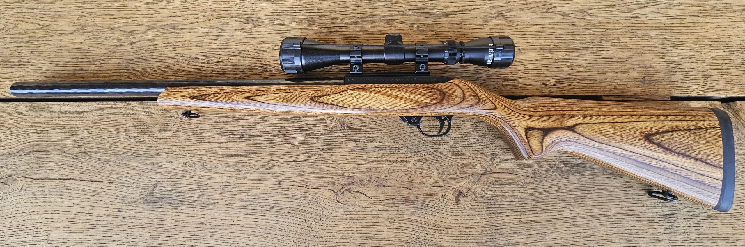 Ruger 10/22 – 22lr