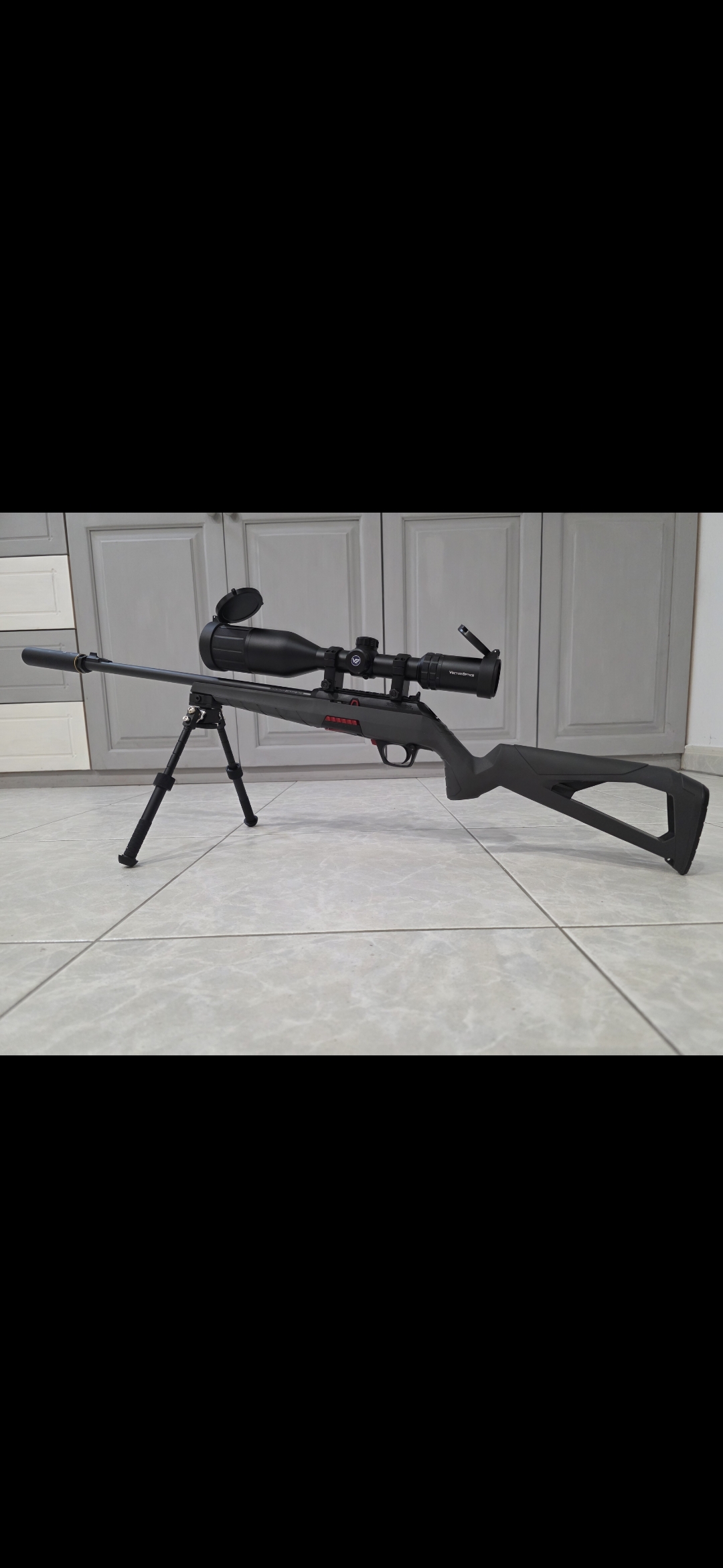 Winchester wildcat 22LR