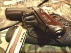 Walther PPK/S
